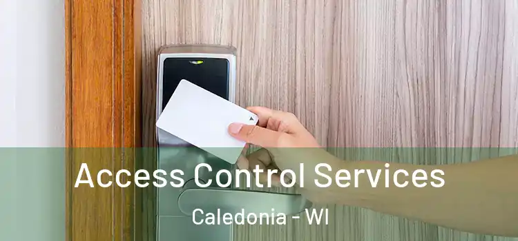  Access Control Services Caledonia - WI