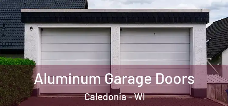  Aluminum Garage Doors Caledonia - WI