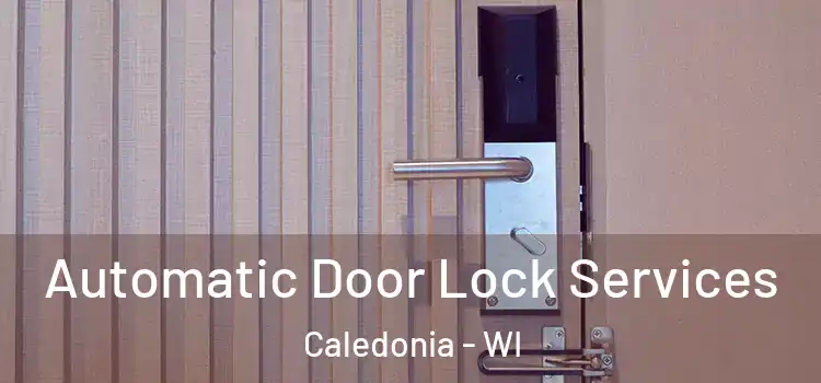  Automatic Door Lock Services Caledonia - WI