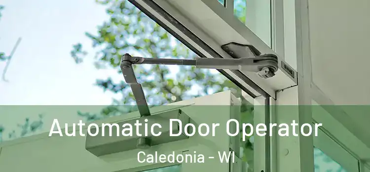  Automatic Door Operator Caledonia - WI