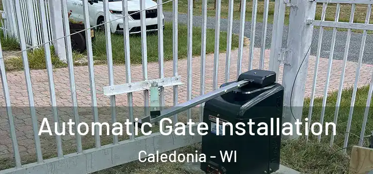  Automatic Gate Installation Caledonia - WI