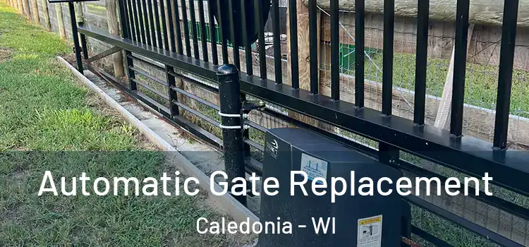 Automatic Gate Replacement Caledonia - WI