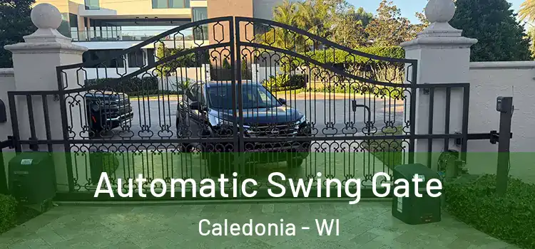  Automatic Swing Gate Caledonia - WI