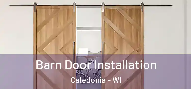  Barn Door Installation Caledonia - WI