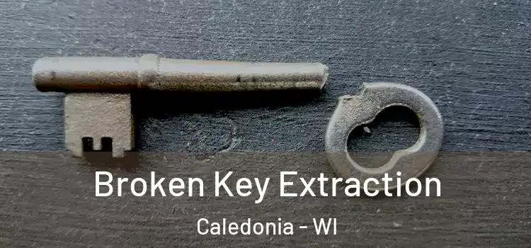 Broken Key Extraction Caledonia - WI