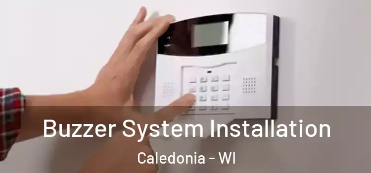  Buzzer System Installation Caledonia - WI