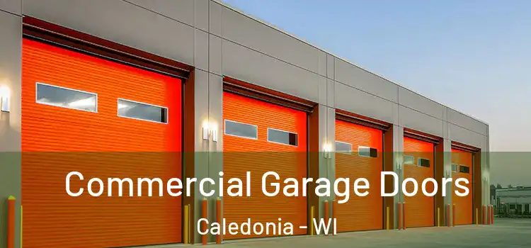  Commercial Garage Doors Caledonia - WI