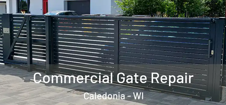  Commercial Gate Repair Caledonia - WI