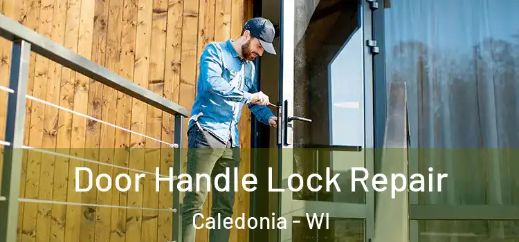  Door Handle Lock Repair Caledonia - WI