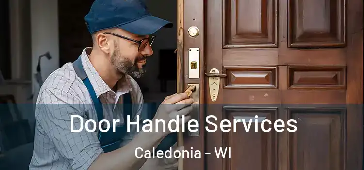  Door Handle Services Caledonia - WI