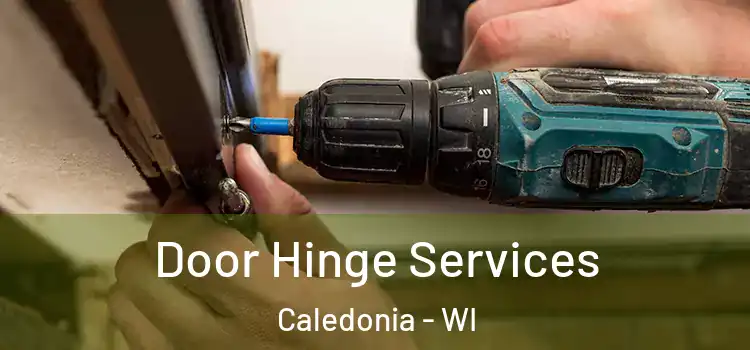  Door Hinge Services Caledonia - WI