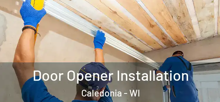  Door Opener Installation Caledonia - WI