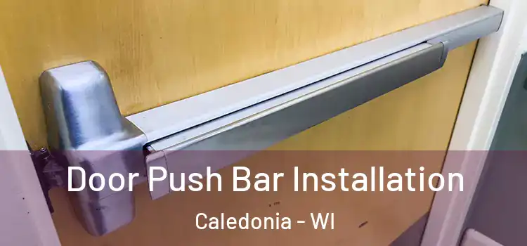 Door Push Bar Installation Caledonia - WI