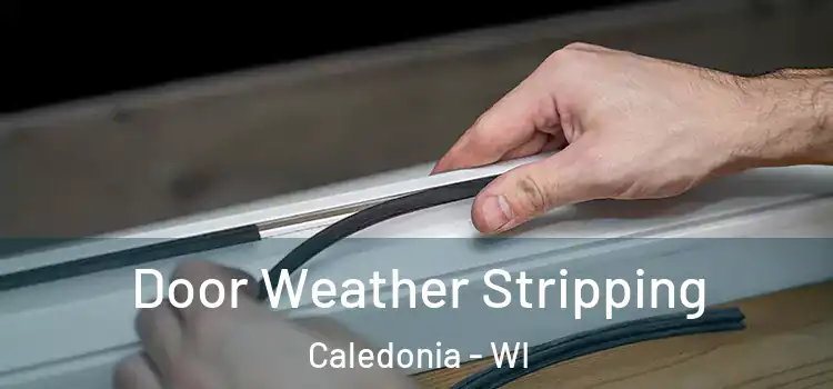  Door Weather Stripping Caledonia - WI