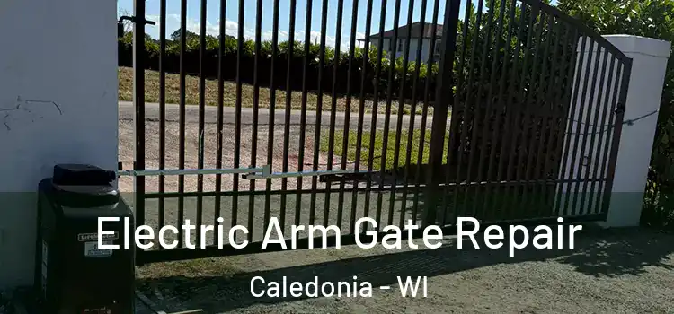  Electric Arm Gate Repair Caledonia - WI