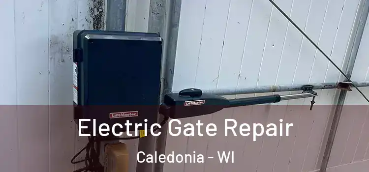  Electric Gate Repair Caledonia - WI