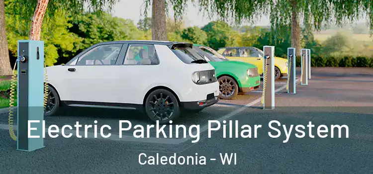  Electric Parking Pillar System Caledonia - WI