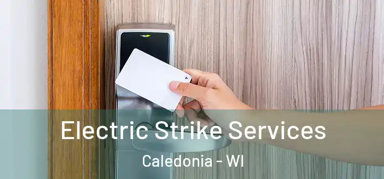 Electric Strike Services Caledonia - WI