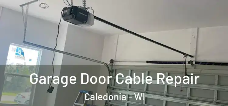  Garage Door Cable Repair Caledonia - WI