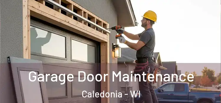 Garage Door Maintenance Caledonia - WI