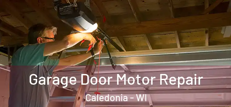  Garage Door Motor Repair Caledonia - WI