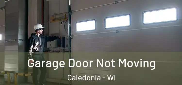  Garage Door Not Moving Caledonia - WI
