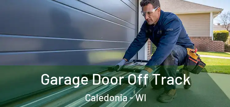  Garage Door Off Track Caledonia - WI