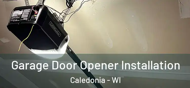  Garage Door Opener Installation Caledonia - WI