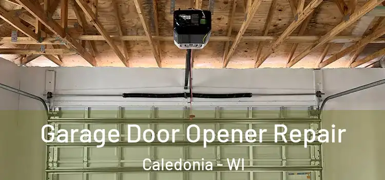  Garage Door Opener Repair Caledonia - WI