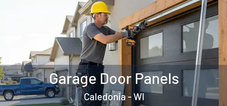  Garage Door Panels Caledonia - WI