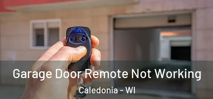  Garage Door Remote Not Working Caledonia - WI