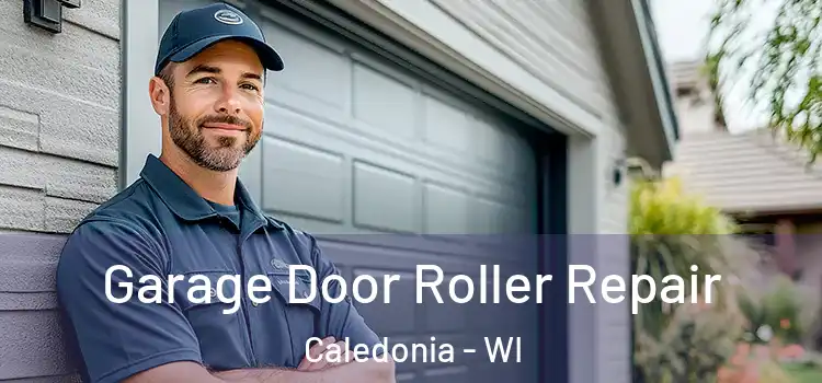  Garage Door Roller Repair Caledonia - WI