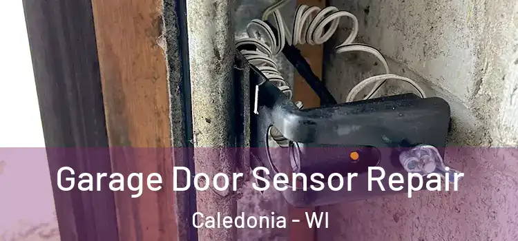  Garage Door Sensor Repair Caledonia - WI