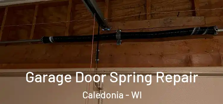  Garage Door Spring Repair Caledonia - WI