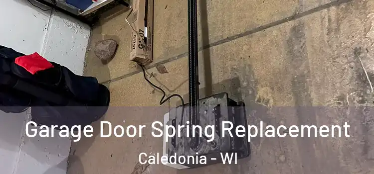  Garage Door Spring Replacement Caledonia - WI