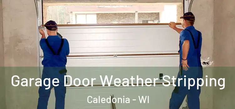  Garage Door Weather Stripping Caledonia - WI