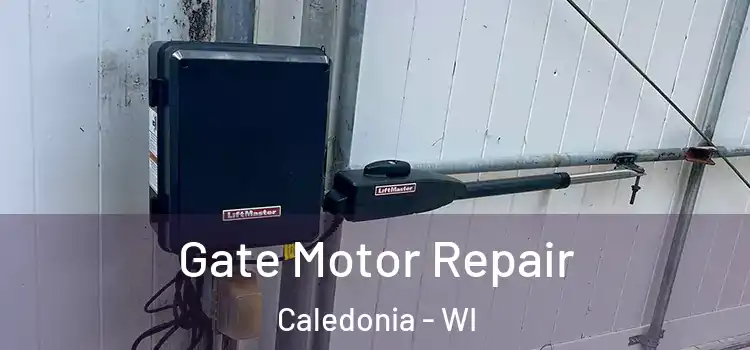  Gate Motor Repair Caledonia - WI