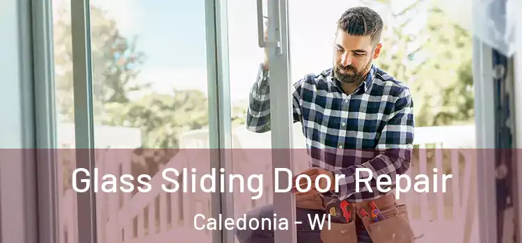  Glass Sliding Door Repair Caledonia - WI