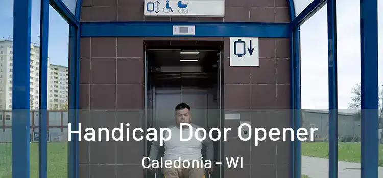  Handicap Door Opener Caledonia - WI