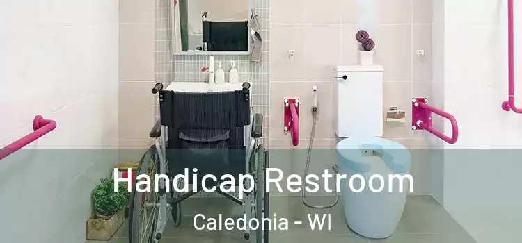  Handicap Restroom Caledonia - WI