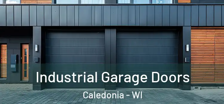  Industrial Garage Doors Caledonia - WI