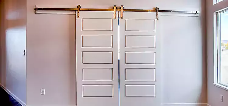Glass Barn Door with Installation Hardware Kit Caledonia