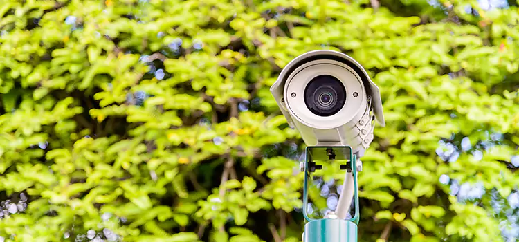 Advanced Surveillance Solutions for Every Need in Caledonia