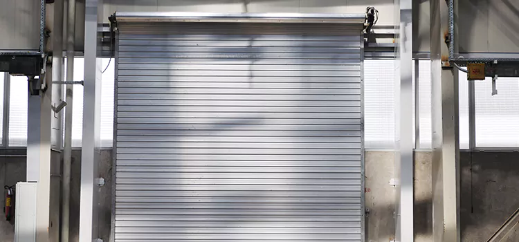 Roller Door Maintenance Caledonia
