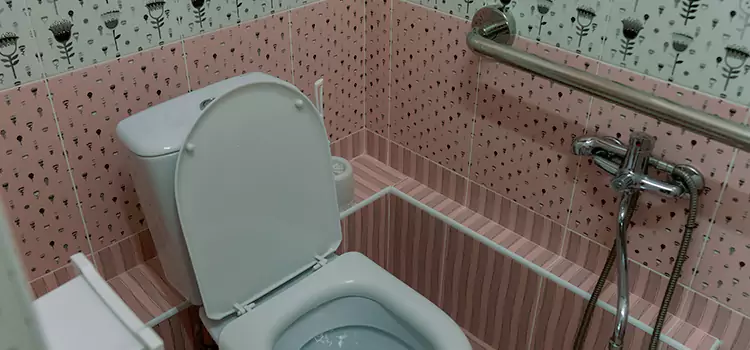 Meeting Diverse Needs With Accessible Restroom Solutions in Caledonia, WI
