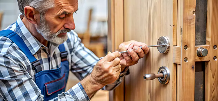 Mortise Replacement Lock Caledonia