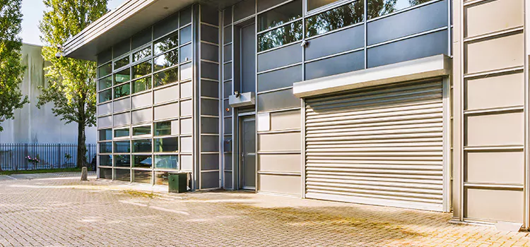 Electric Roller Garage Doors Caledonia
