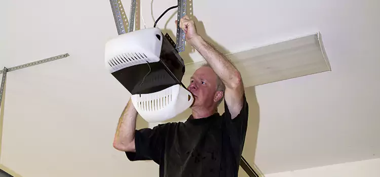 Garage Door Opener Service Caledonia