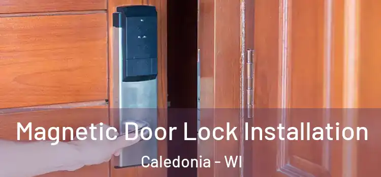  Magnetic Door Lock Installation Caledonia - WI