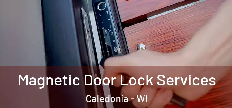  Magnetic Door Lock Services Caledonia - WI